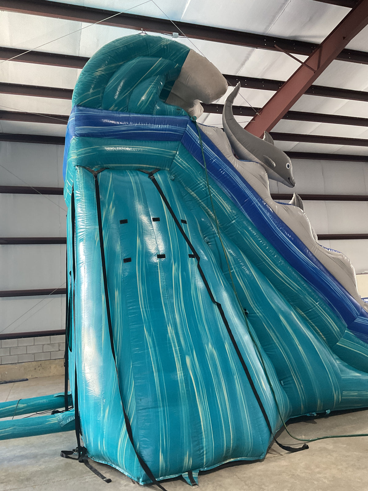 19' Dolphin Slide with pool