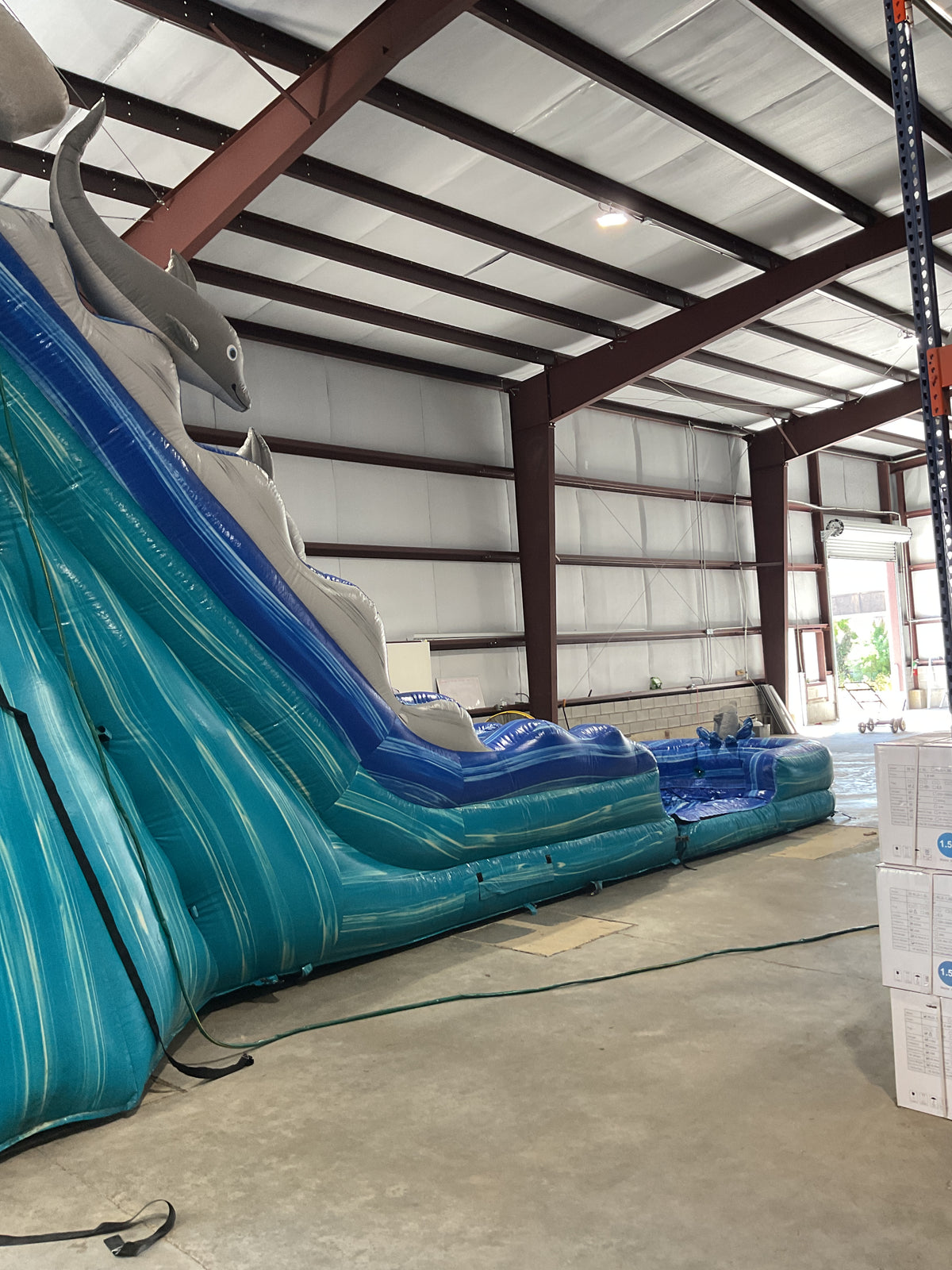 19' Dolphin Slide with pool