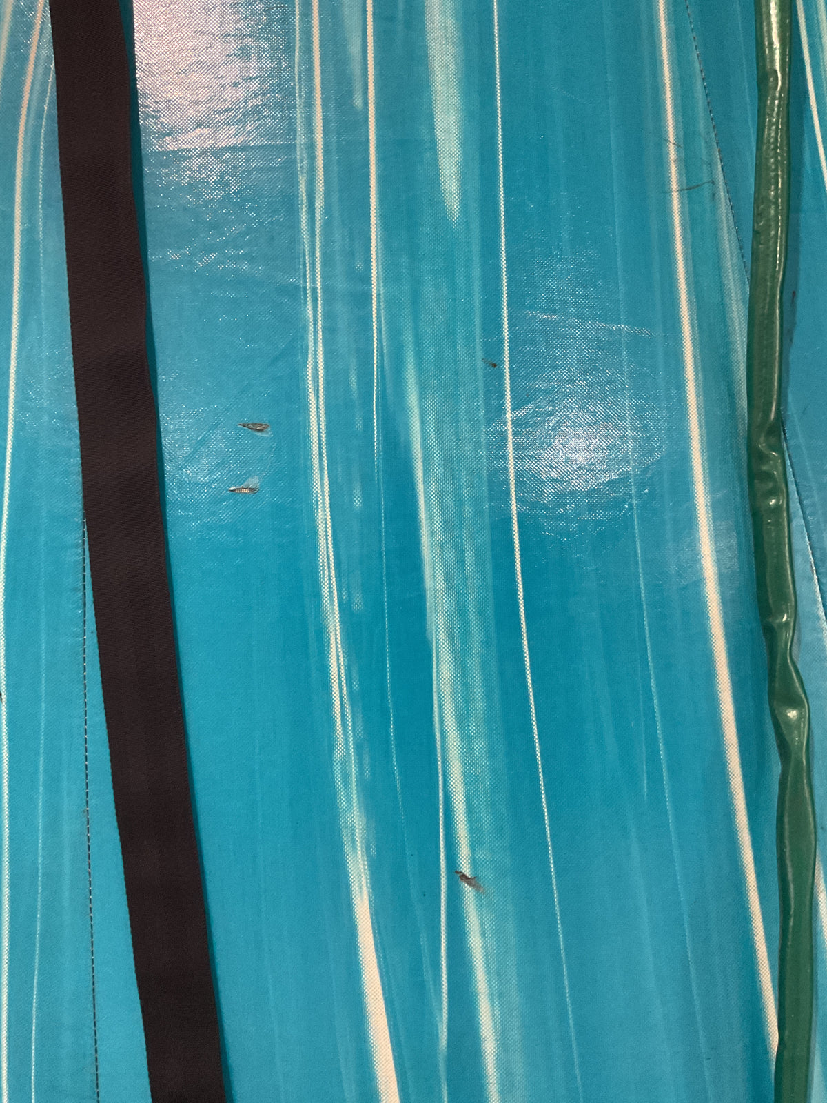 19' Dolphin Slide with pool