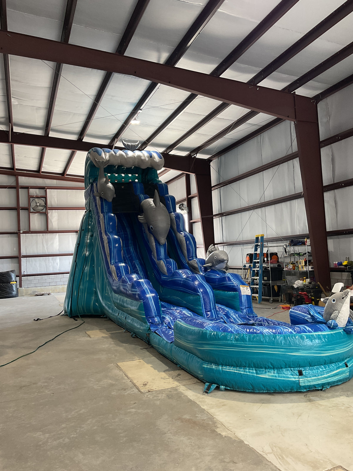 19' Dolphin Slide with pool