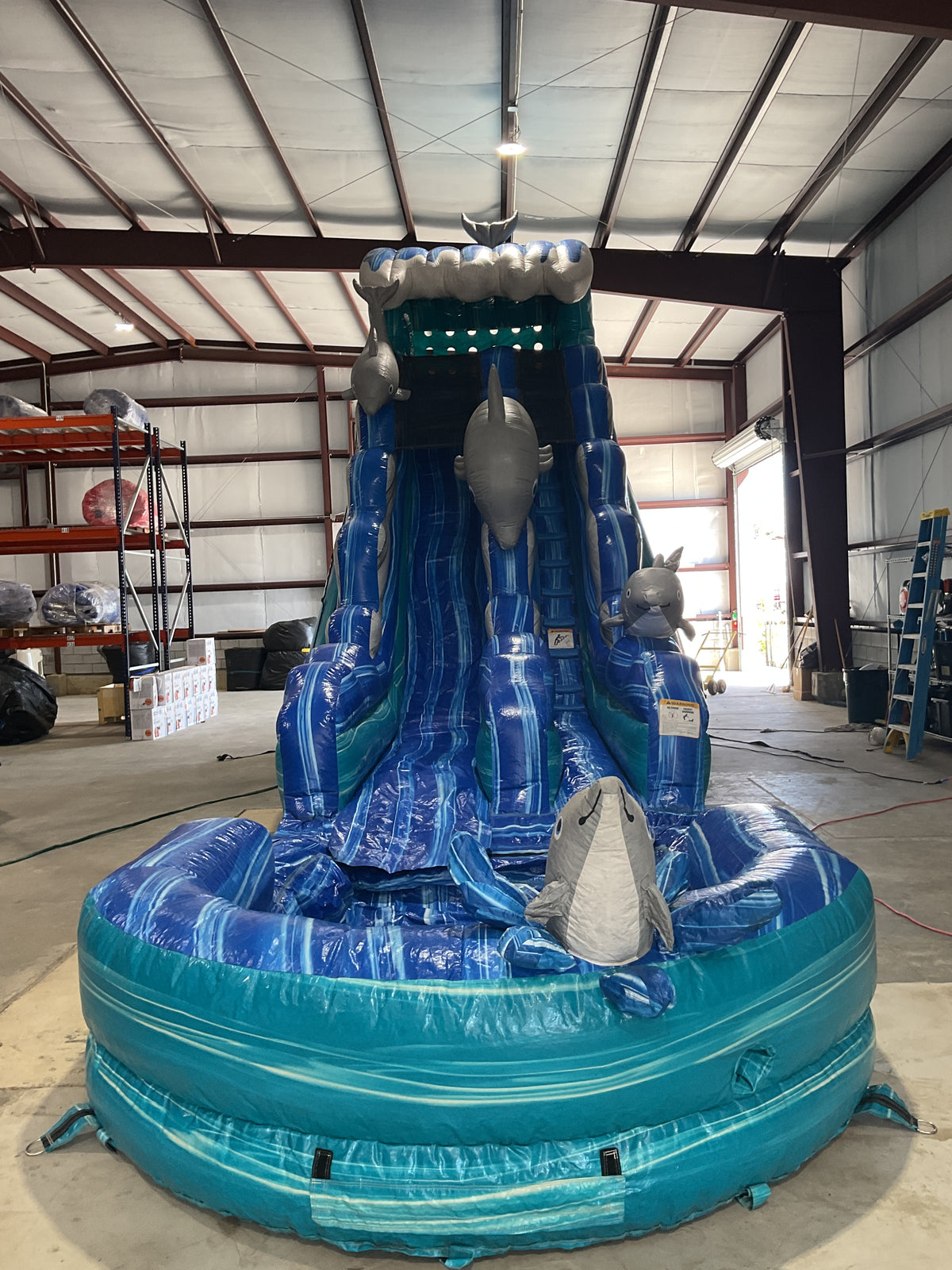 19' Dolphin Slide with pool