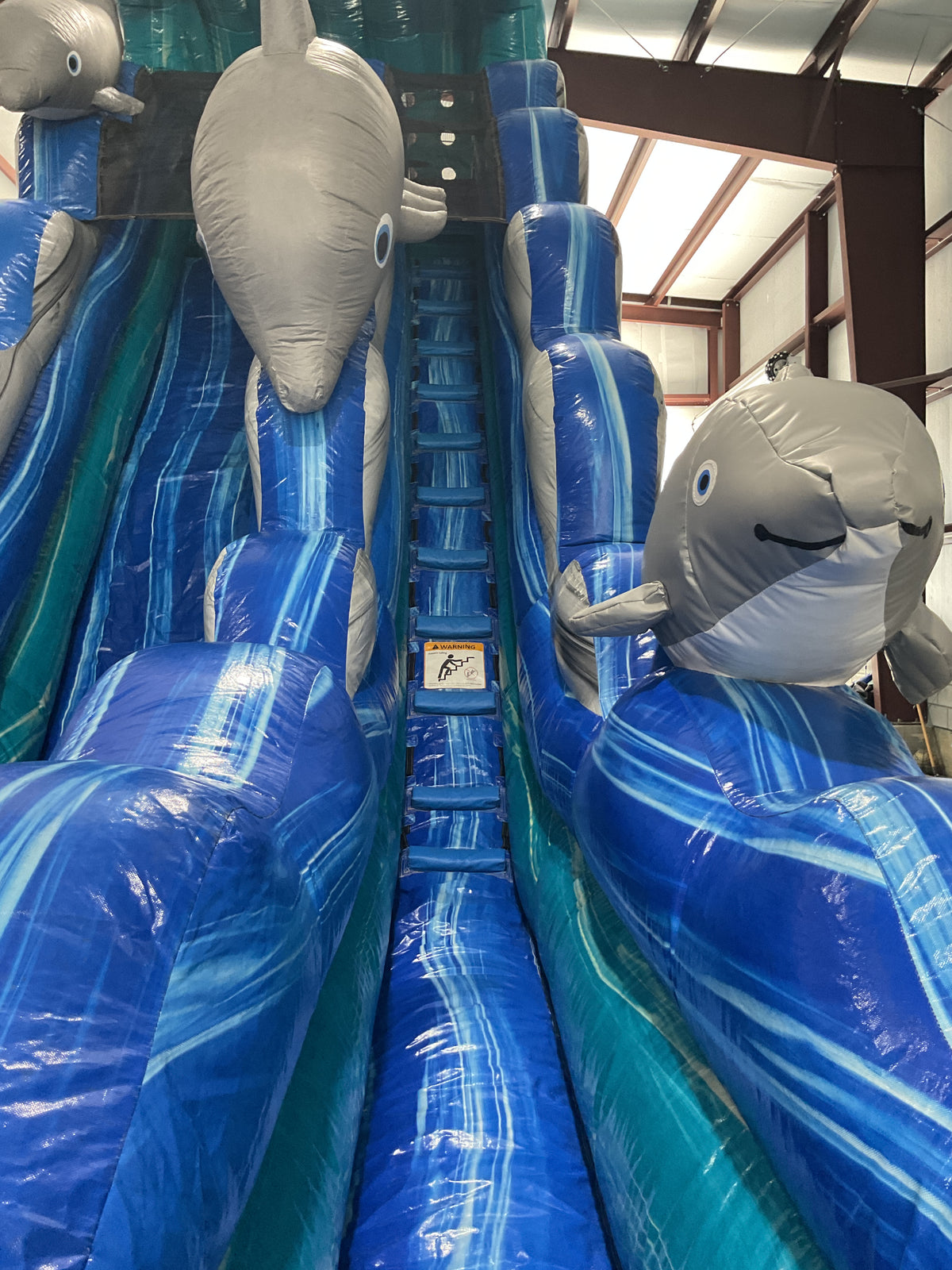 19' Dolphin Slide with pool