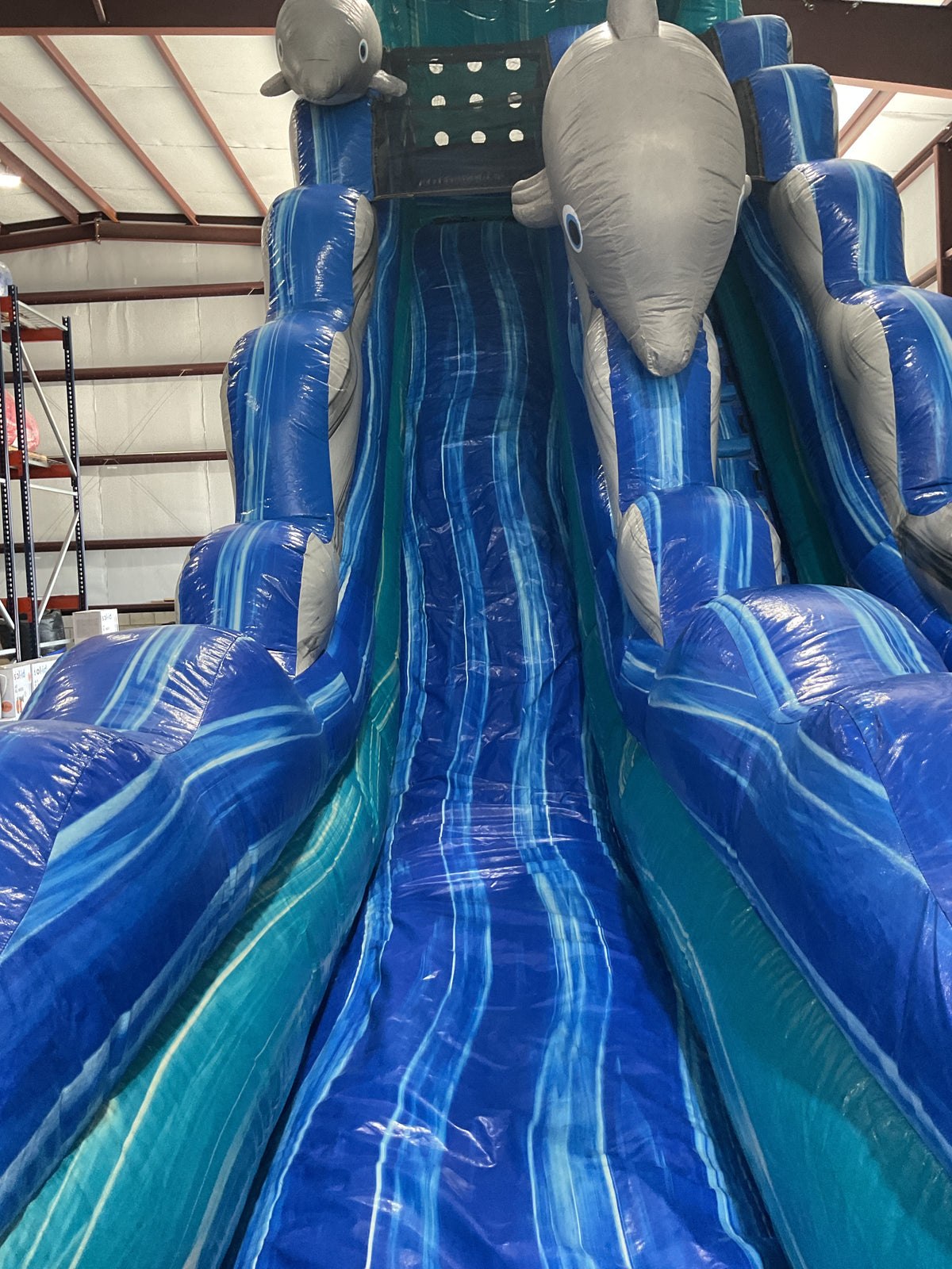 19' Dolphin Slide with pool