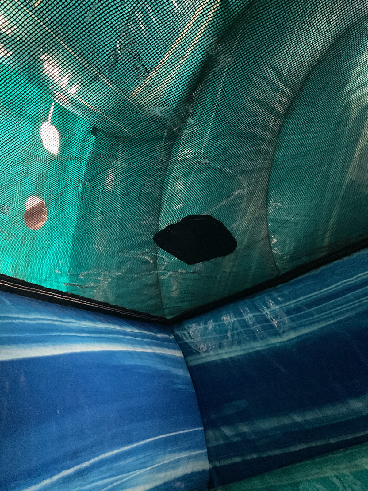 19' Dolphin Slide with pool
