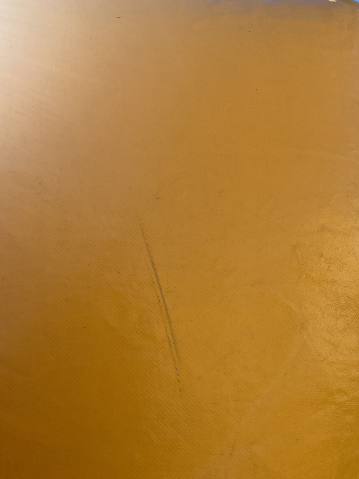 Backyard Obstacle Course