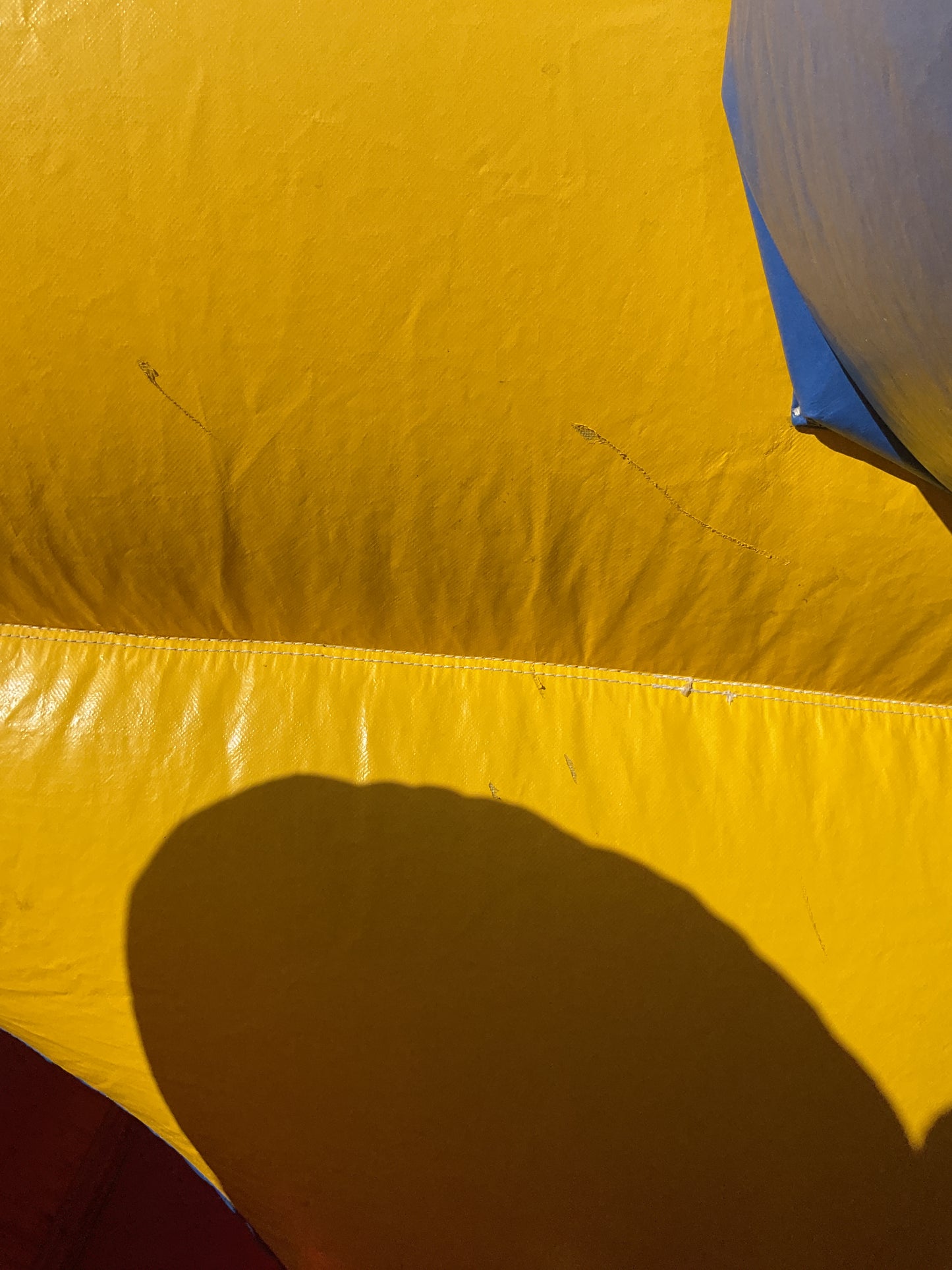 Backyard Obstacle Course