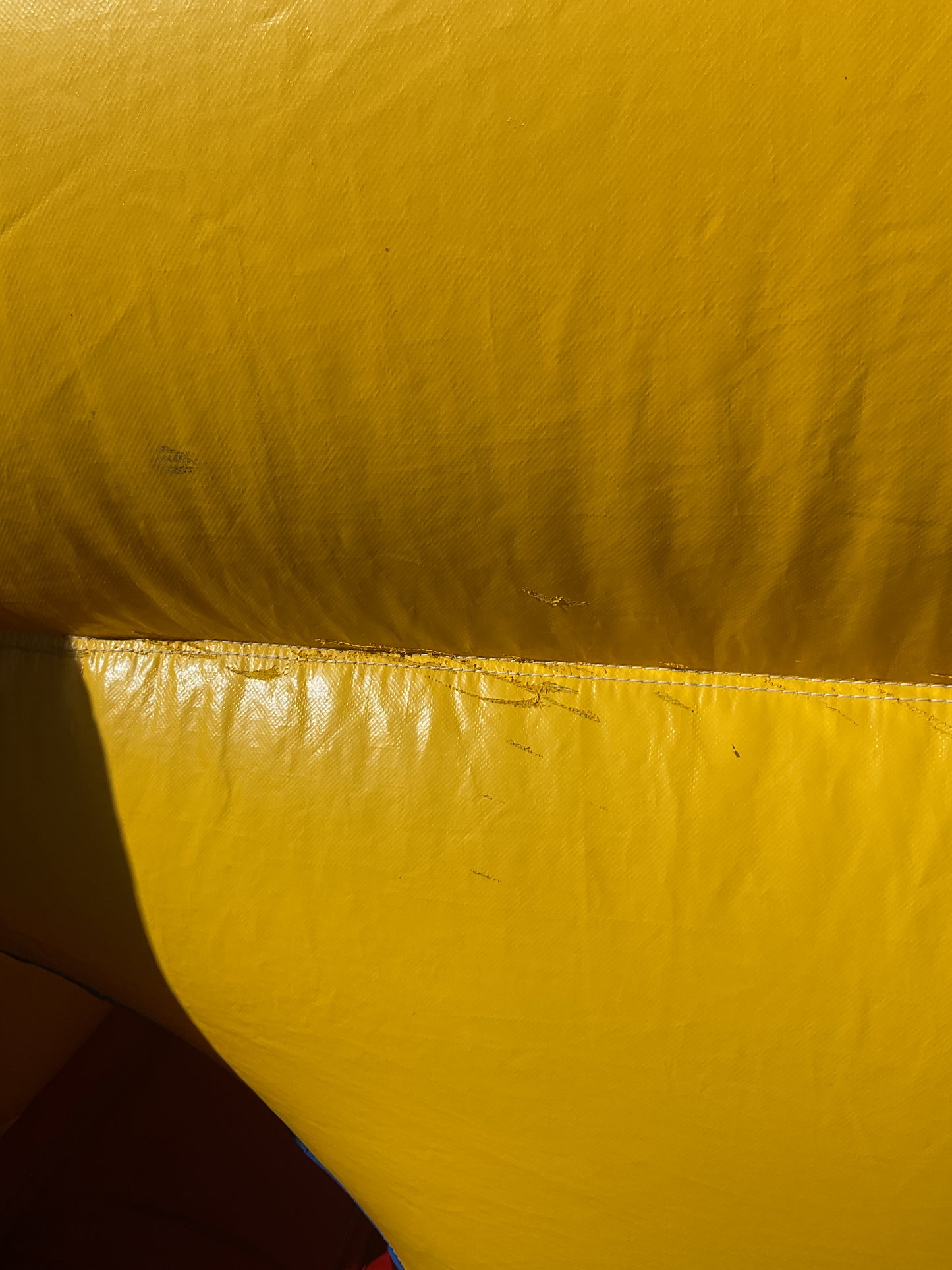 Backyard Obstacle Course