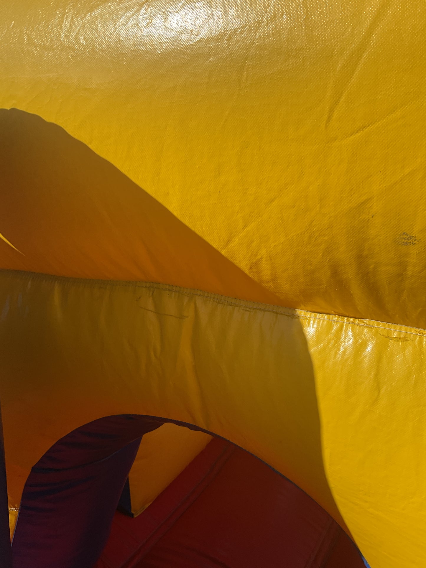 Backyard Obstacle Course