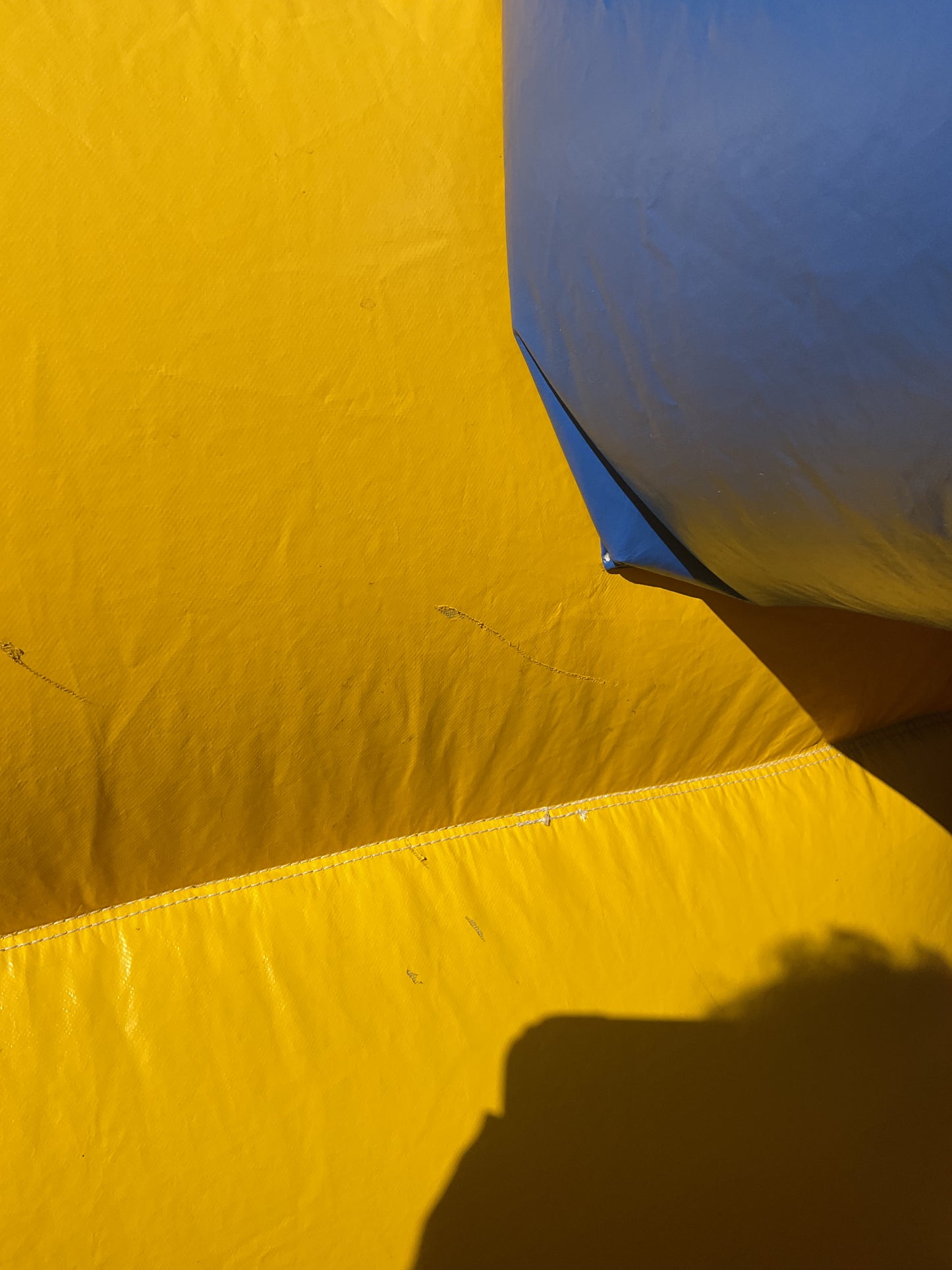 Backyard Obstacle Course