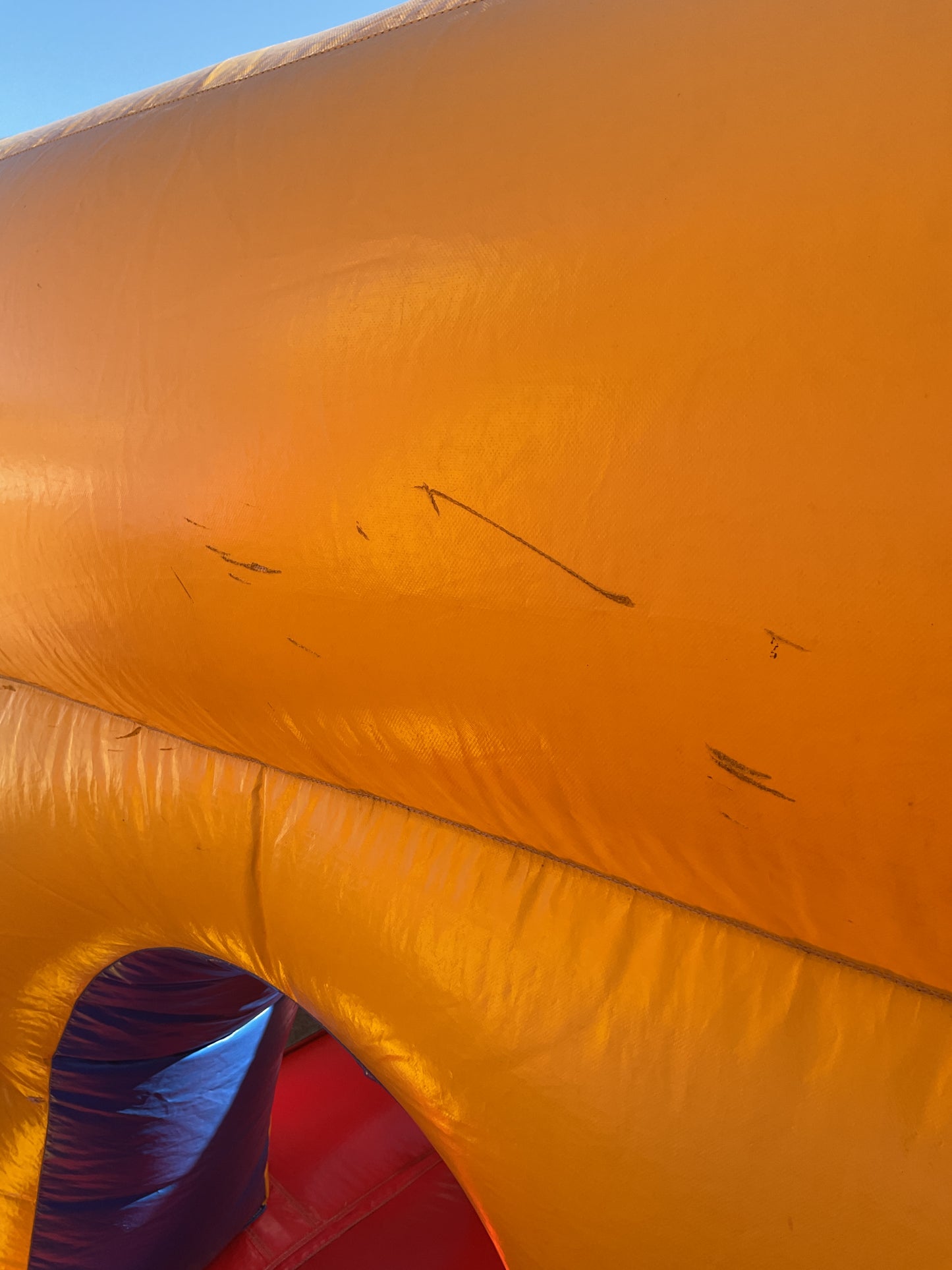 Backyard Obstacle Course