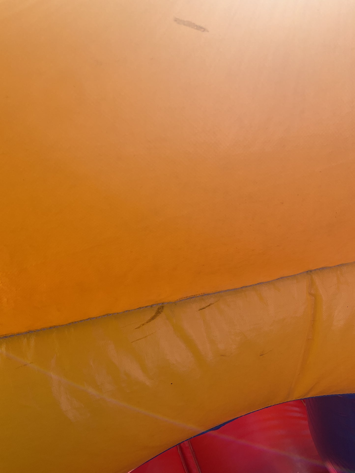 Backyard Obstacle Course