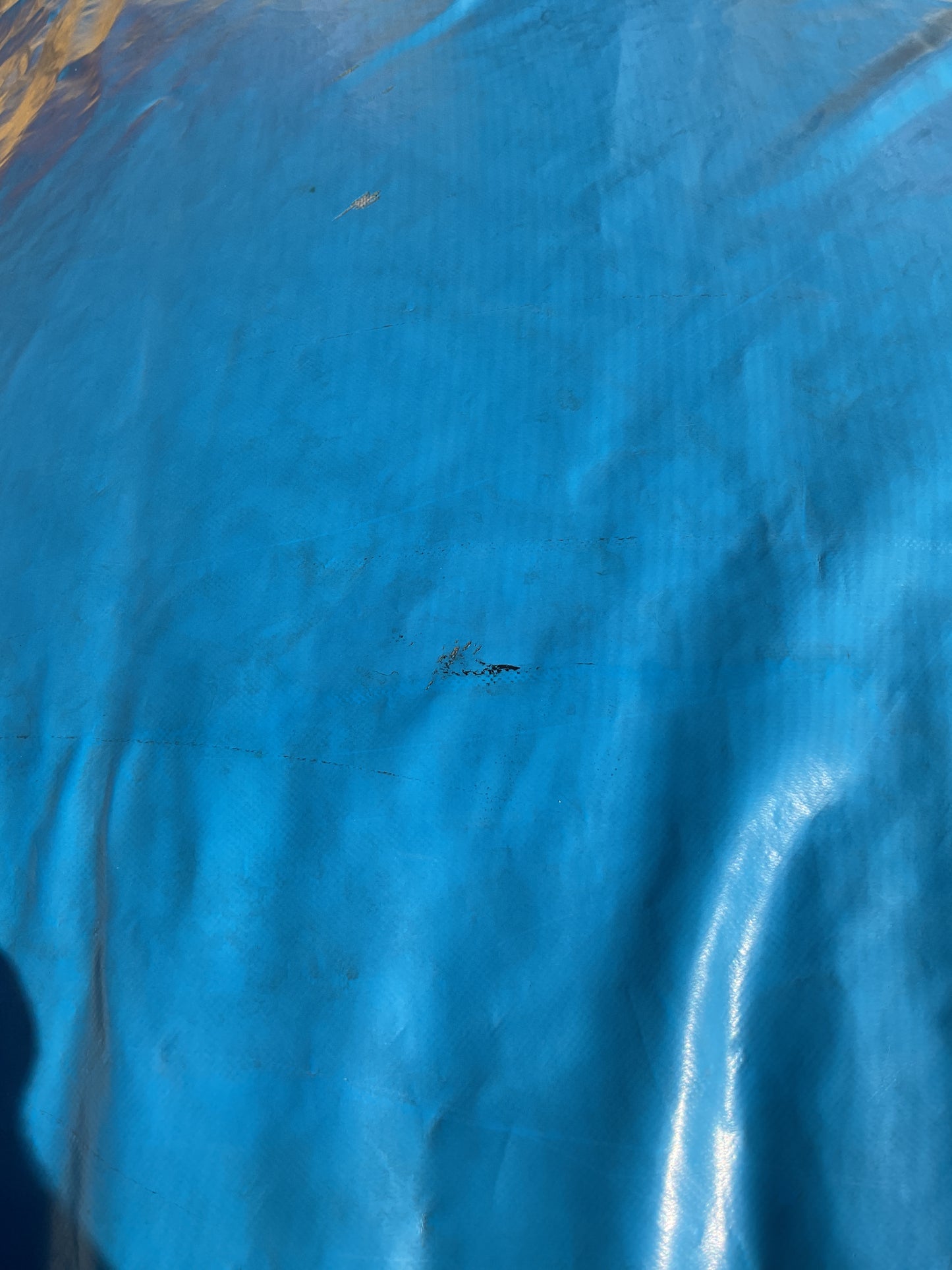 Backyard Obstacle Course