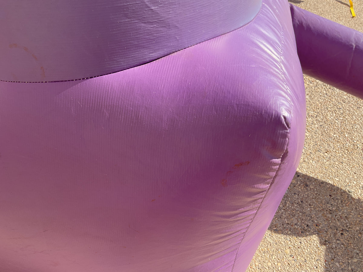 Pink Purple Jump-n-Slide Combo