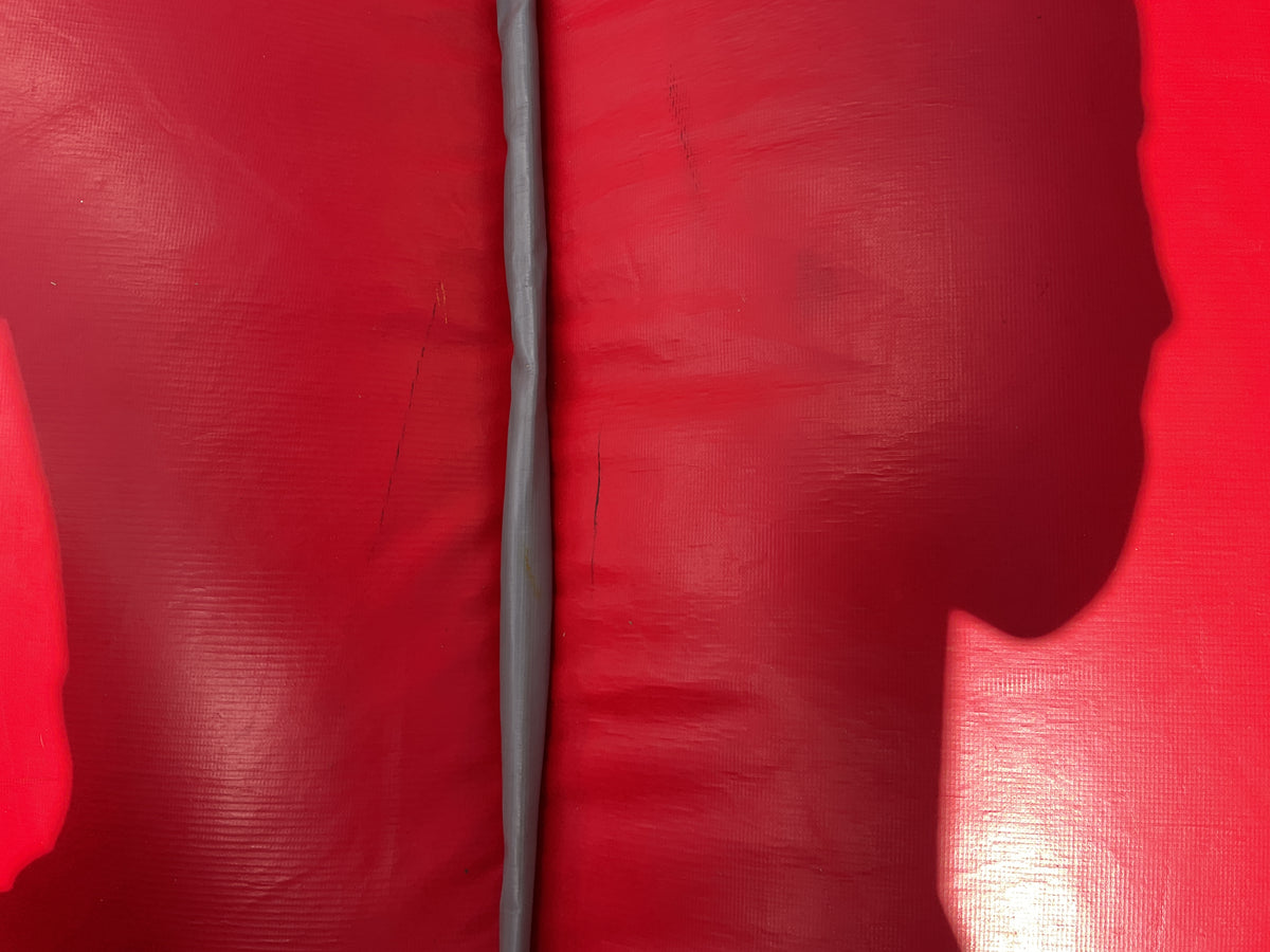 Wrecking Ball Interactive Inflatable