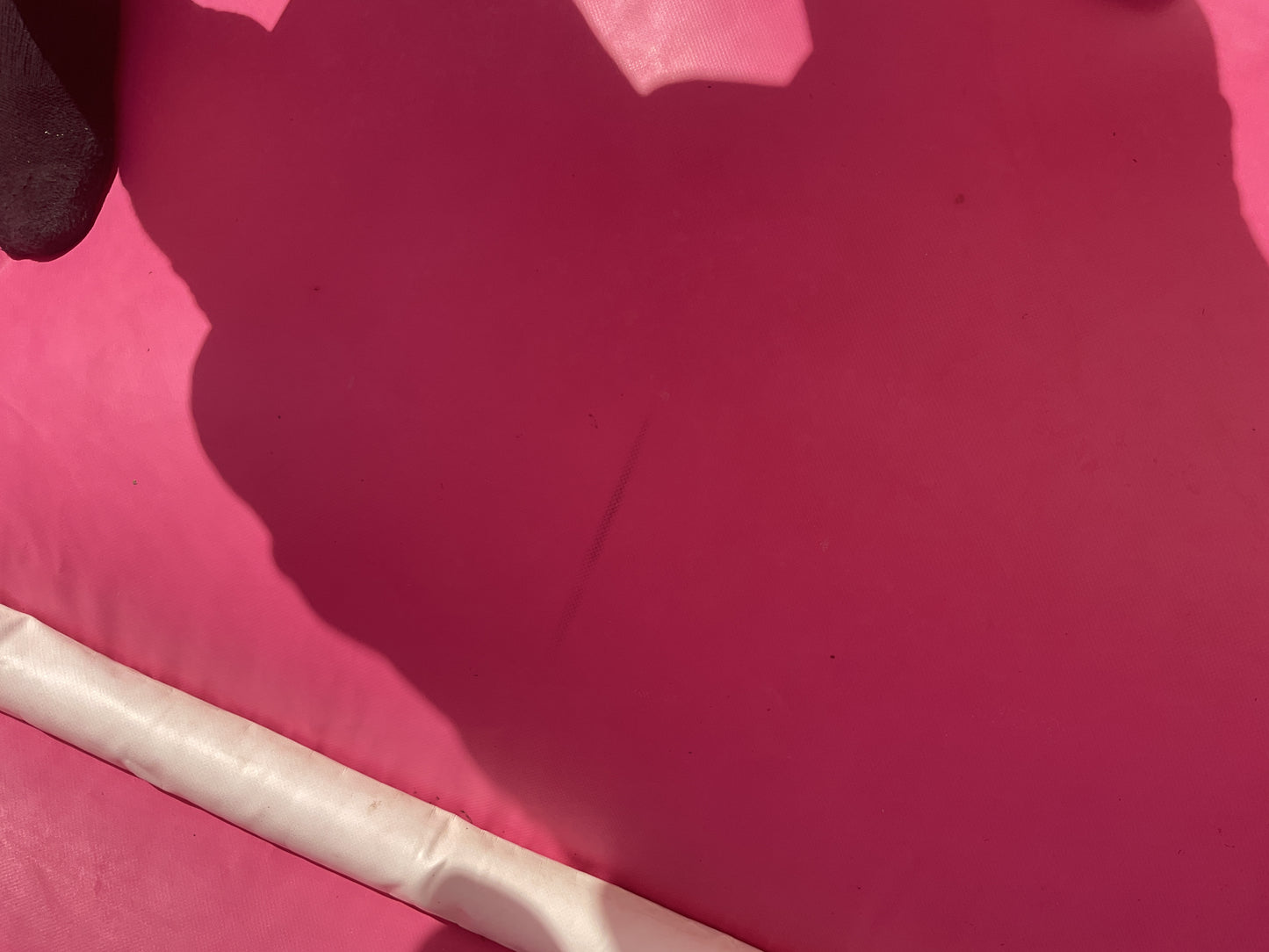 Pink Castle Bounce