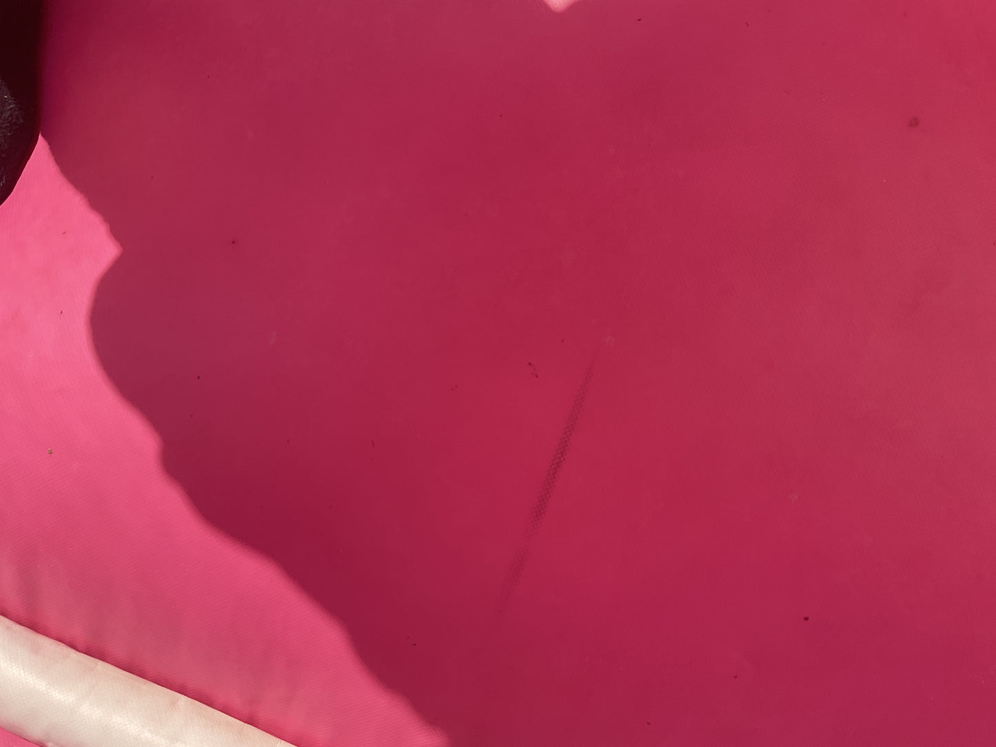 Pink Castle Bounce