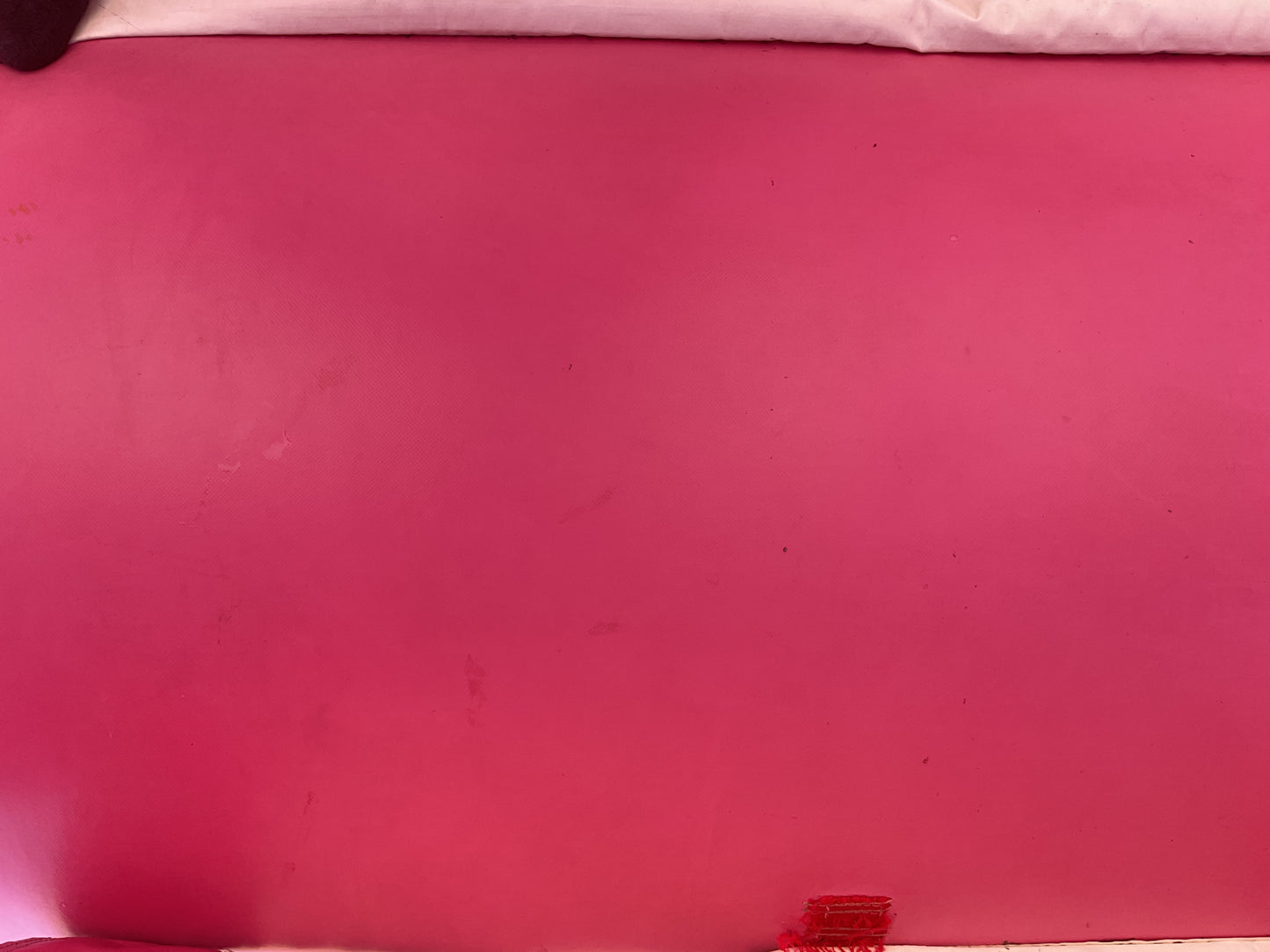 Pink Castle Bounce