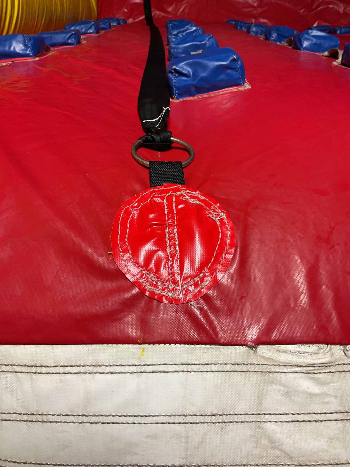Dual lane Rock Climb Slide