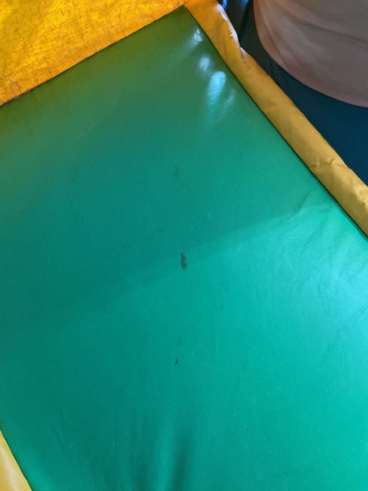 Tropical Combo wet dry with pool