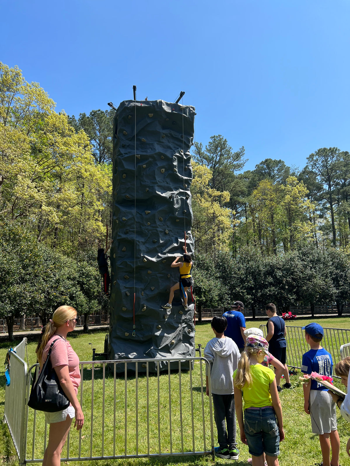 4-Station Rock Climb Wall