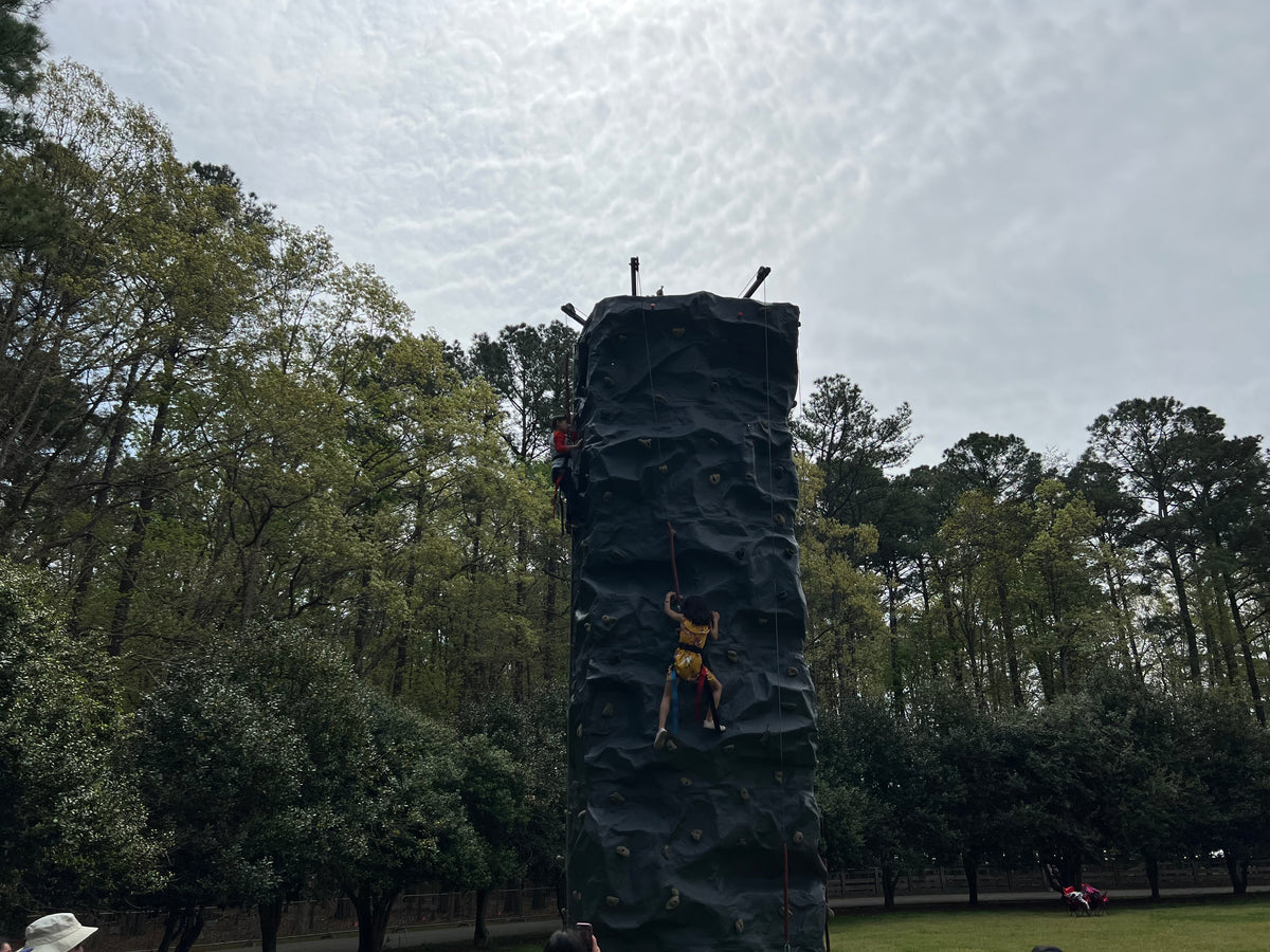 4-Station Rock Climb Wall